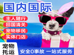 盐城南洋空运公司国际宠物托运 【国